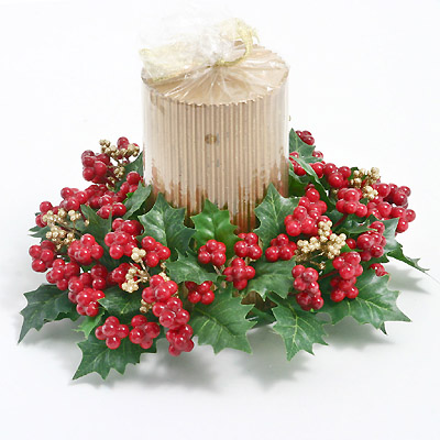 IMAGE_DESC_TAG